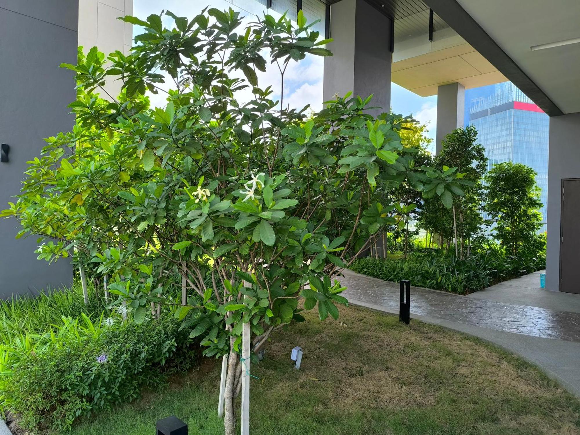 Tourism Axon Residence Bukit Bintang Kl Kuala Lumpur Zewnętrze zdjęcie